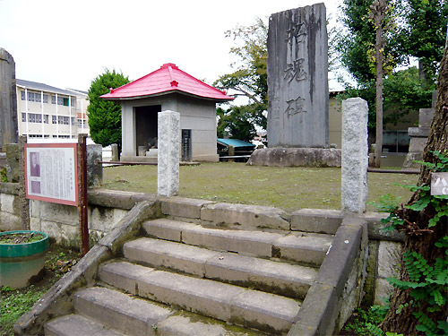 iwama_11.jpg