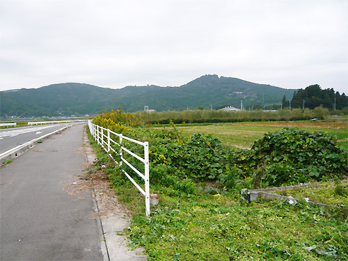 iwama_15.jpg
