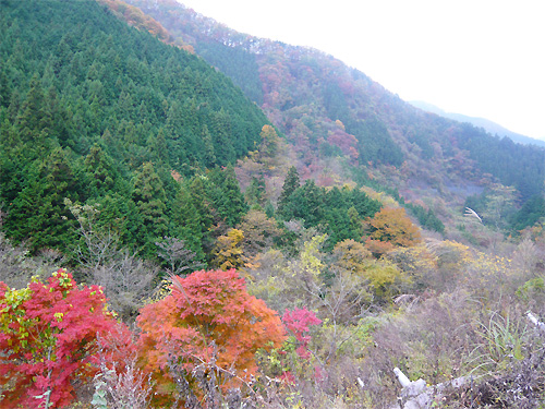 okutama2_15.jpg