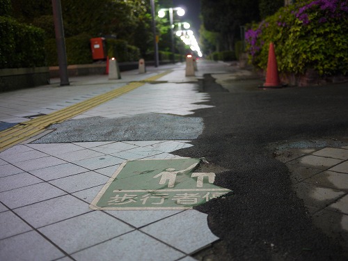 s-P1010739.jpg