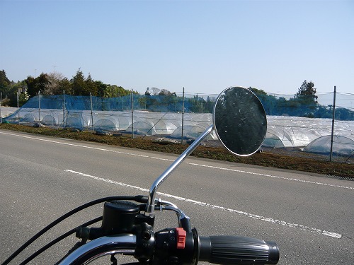 ushiku_15.jpg