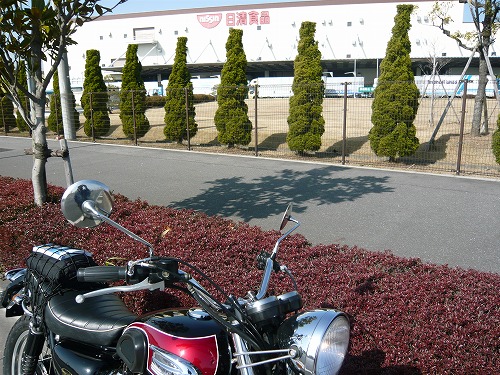 ushiku_8.jpg