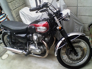 w650.jpg